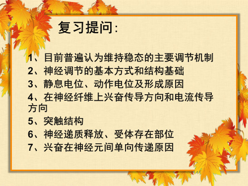 高中生物《通过激素的调节》PPT课件 (共47张PPT)