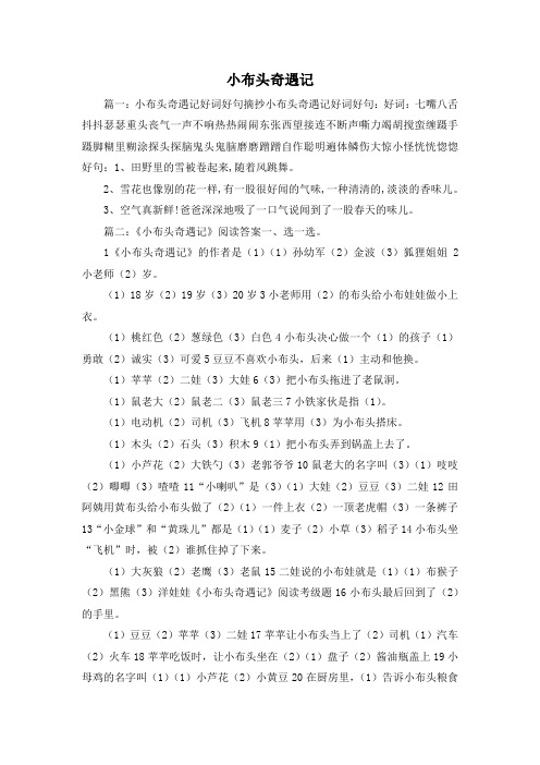 最新-小布头奇遇记 精品