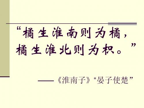 菱角的喜剧(晓芳公开课)