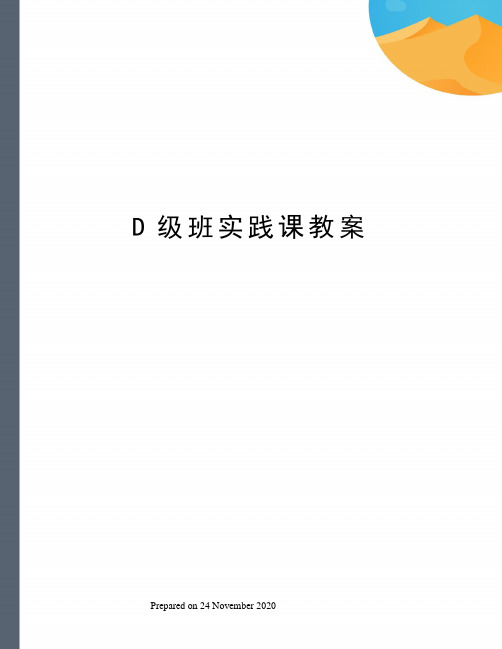 D级班实践课教案