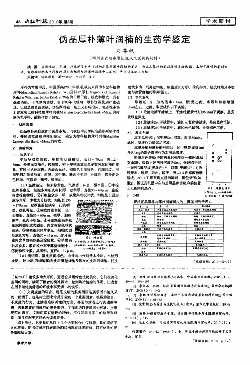 伪品厚朴薄叶润楠的生药学鉴定