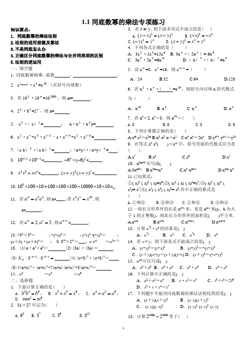 1.1同底数幂的乘法知识梳理及专项练习题