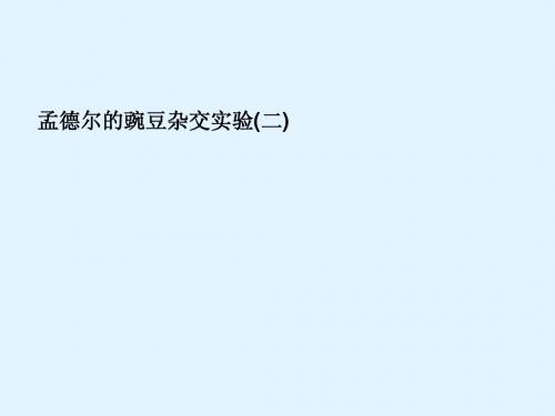 最新2015届高考生物一轮详细复习孟德尔的豌豆杂交实验二(考点透析典例跟踪详解实验导航大题专训)新人教版