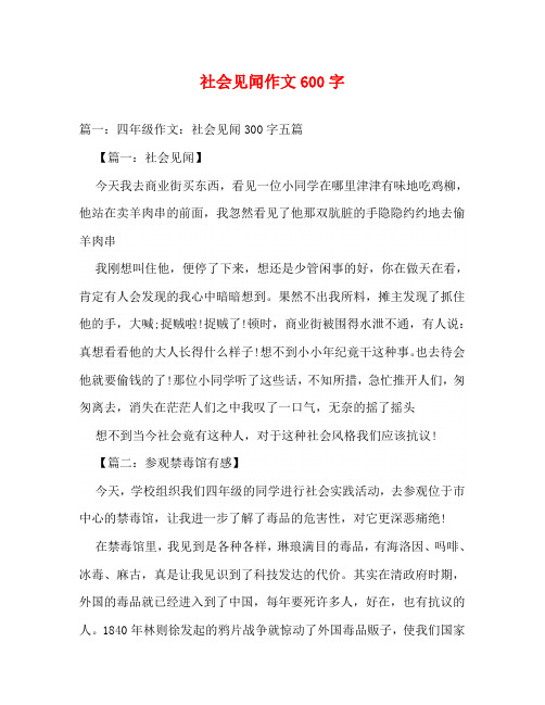 社会见闻作文600字