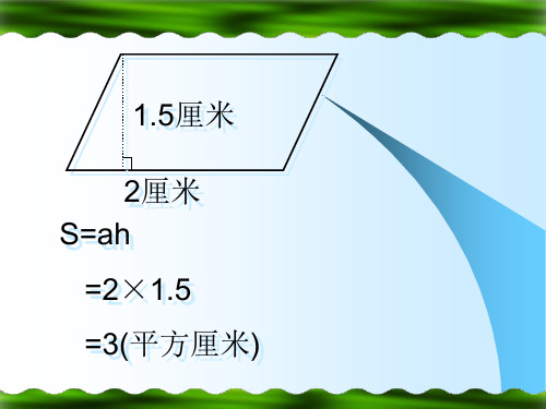 五年级三角形的面积计算