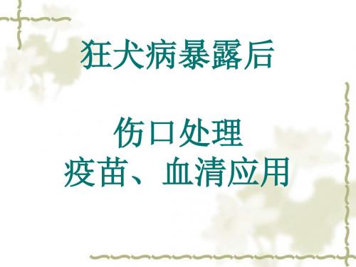 狂犬病暴露后伤口处理及血清的应用ppt课件