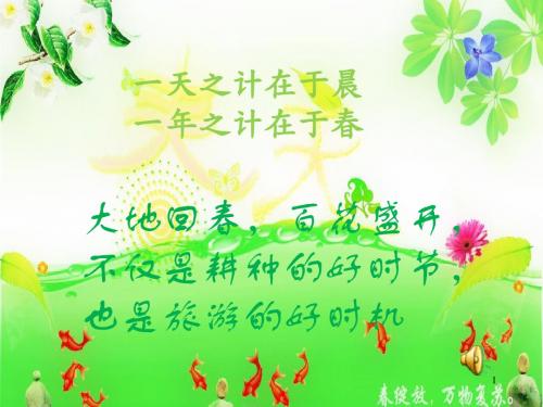 策划一次出游活动ppt课件