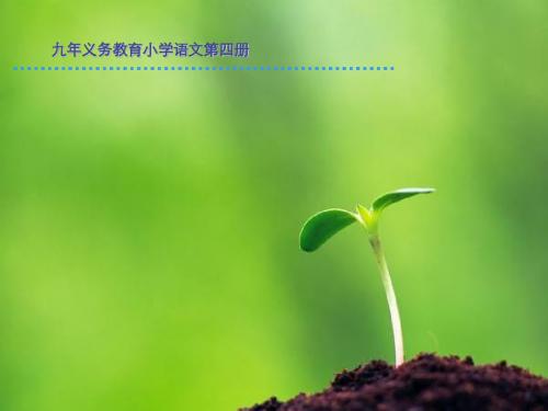 二年级下册语文古诗两首(草_宿新市徐公店)(实用)