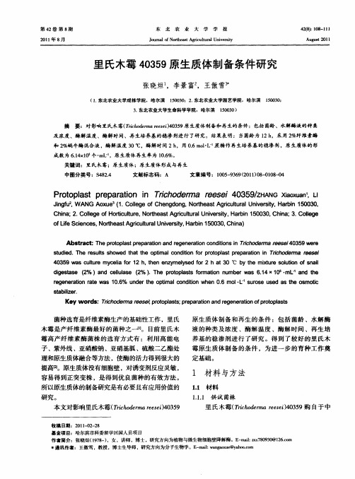 里氏木霉40359原生质体制备条件研究