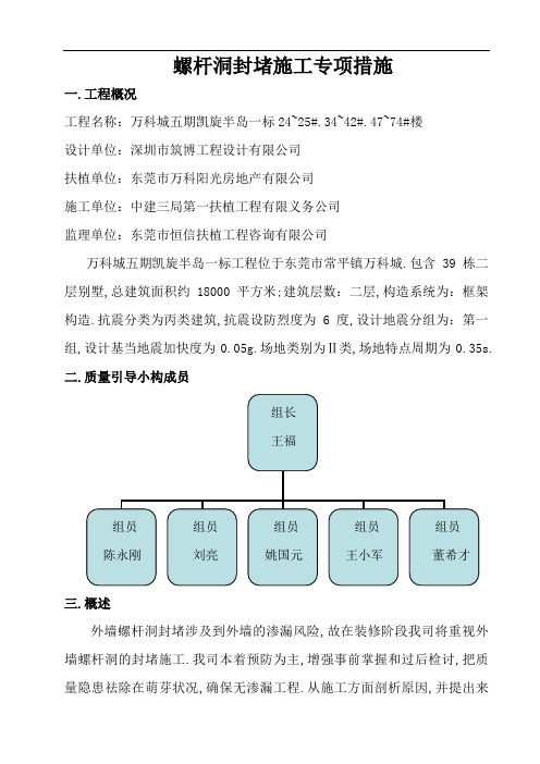外墙螺杆洞封堵专项方案