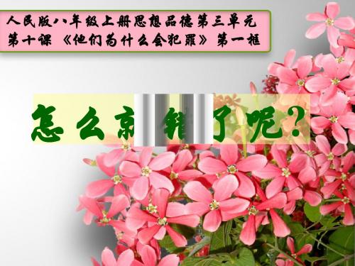 第十课 他们为什么犯罪  课件 人民版八年级上册 (9)
