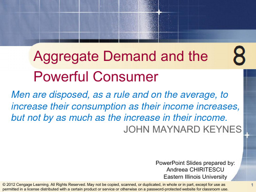 Chapter 8 Aggregate Demand and the Powerful ConsumerAP经济学需求理论