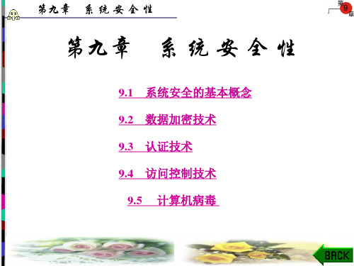 系统安全性