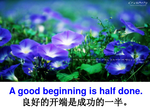 人称代词,物主代词,be动词的用法