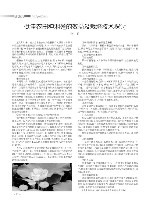 低洼农田种湘莲的效益及栽培技术探讨