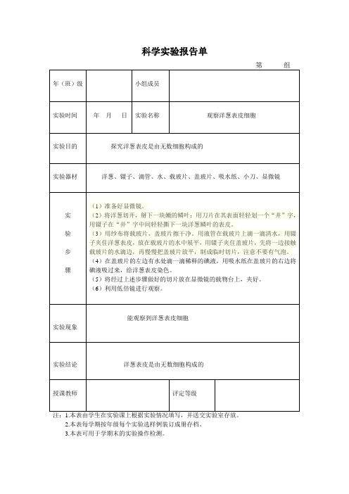 六年级重点实验报告单