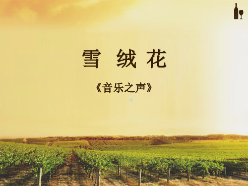 初中音乐人音版八年级上册☆雪绒花课件(1)