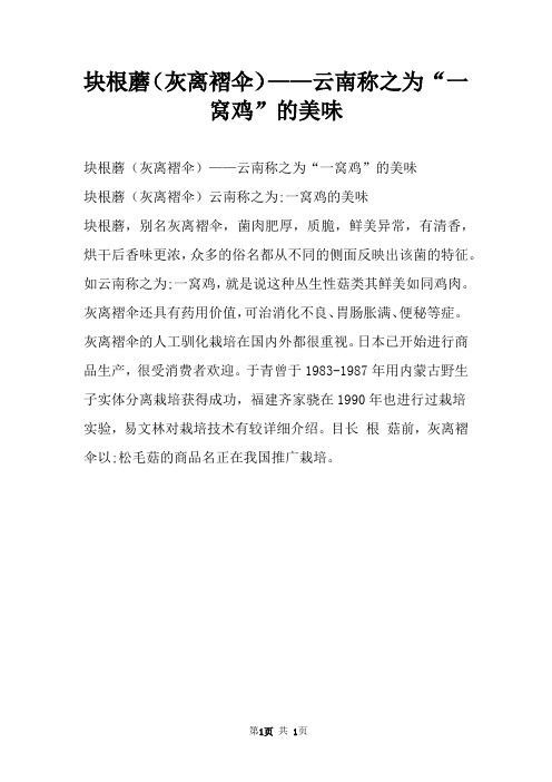 块根蘑（灰离褶伞）——云南称之为“一窝鸡”的美味
