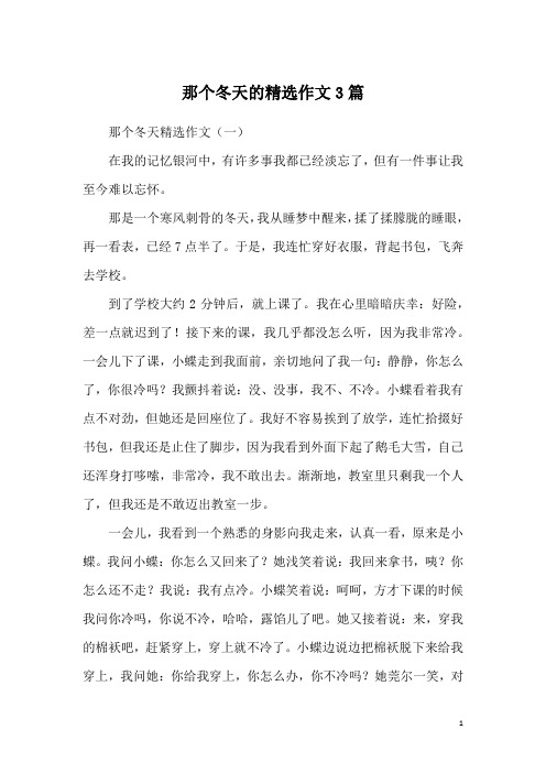 那个冬天的精选作文3篇