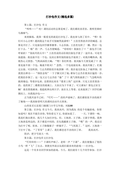 打沙包作文(精选多篇)
