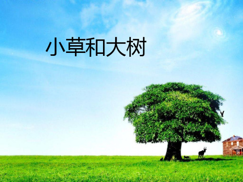 六年级上册语文课件9《小草和大树》｜苏教版 (共32张PPT)