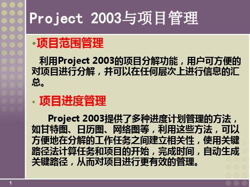 项目管理软件project2003