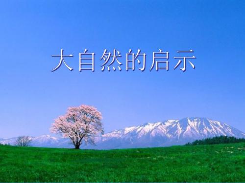 12 大自然的启示 课件