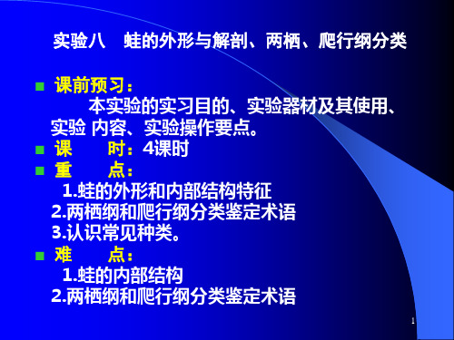 实验八  蛙的外形与解剖、两栖纲和爬行纲