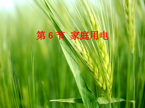 浙教版八年级科学下册1.6 家庭用电