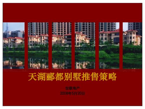 世联：佛山天湖郦都别墅营销策略173367927