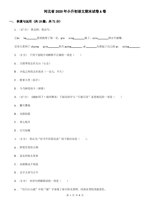 河北省2020年小升初语文期末试卷A卷(新版)