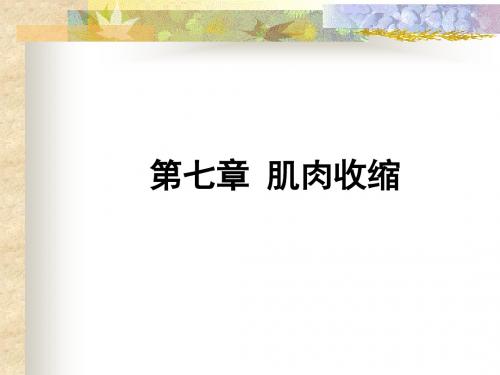 生理学 考研资料  肌肉收缩