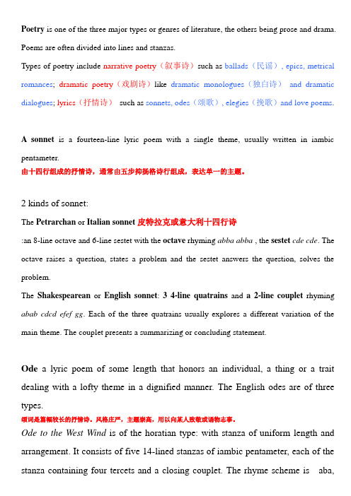 英国文学名词解释definition