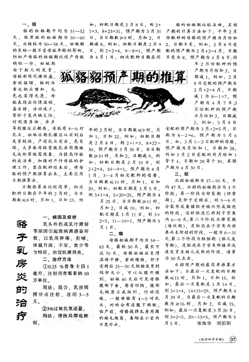 狐貉貂预产期的推算