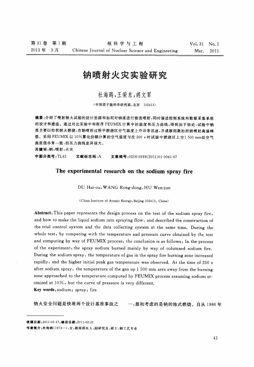 钠喷射火灾实验研究