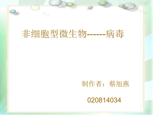 非细胞型微生物------病毒(精)