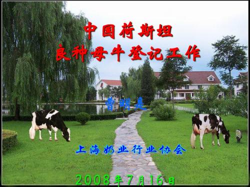 中国荷斯坦 良种母牛登记工作