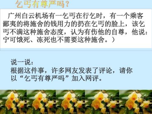 八年级政治人格尊严权