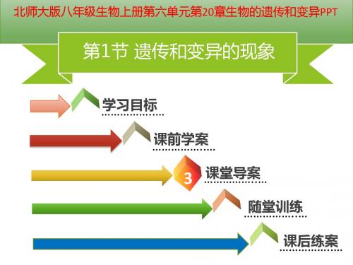 北师大版八年级生物上册第六单元第20章生物的遗传和变异PPT