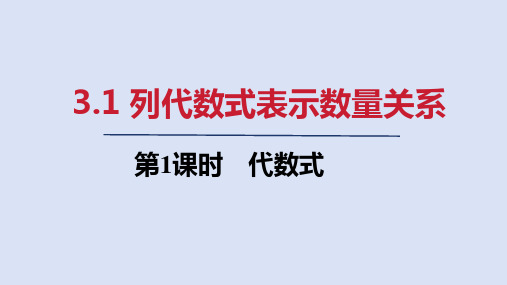 3.1   第1课时 代数式  课件(共19张PPT)  人教版七年级数学上册