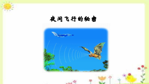 《夜间飞行的秘密》ppt课件