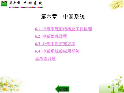 第6章单片机经典课件