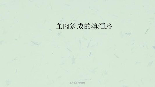 血肉筑成的滇缅路课件