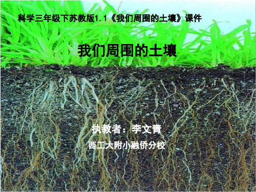 1我们周围的土壤