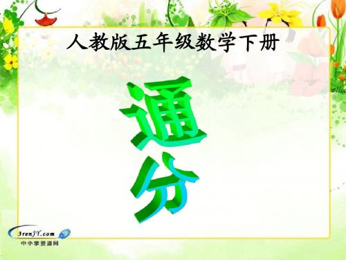 (人教版)五年级数学下册课件 通分2