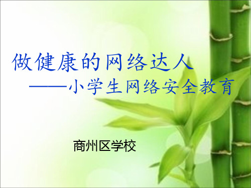 小学生网络安全教育ppt课件