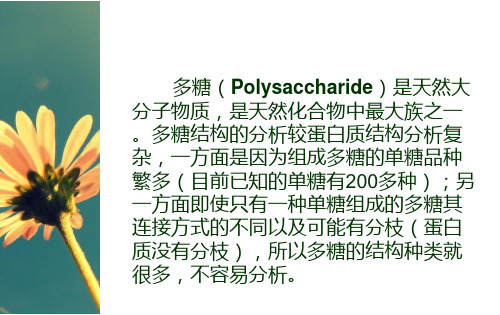 多糖结构解析