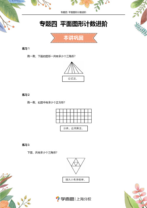 二年级 专题四 平面图形计数进阶