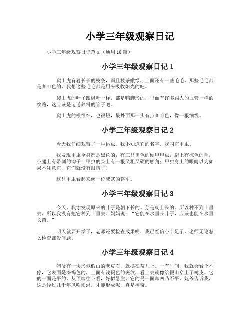 小学三年级观察日记-2