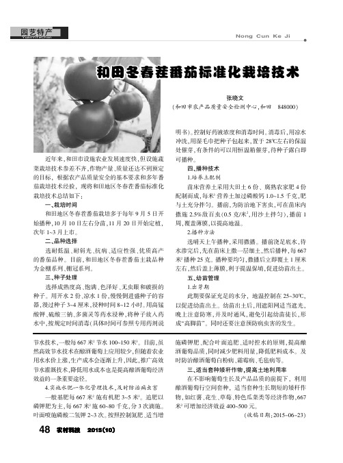 和田冬春茬番茄标准化栽培技术